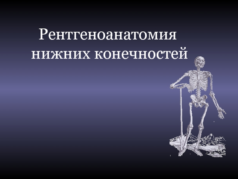 Презентация Рентгеноанатомия нижних конечностей