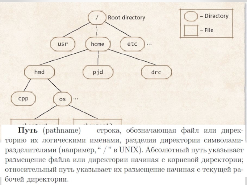 Что такое директория проекта