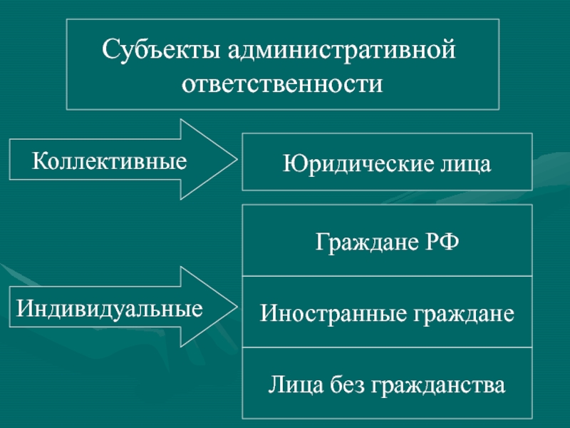 Индивидуальный субъект административного