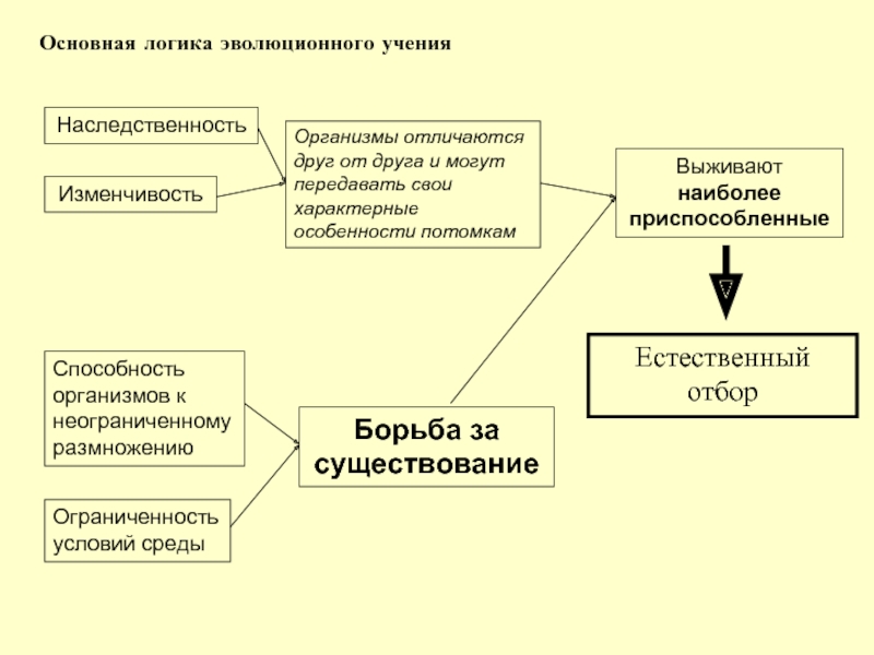 Эволюционная эпистемология. Основная логика эволюционного учения. Способность организмов к неограниченному размножению. Неограниченное размножение. Способность организмов к неограниченному размножению примеры.