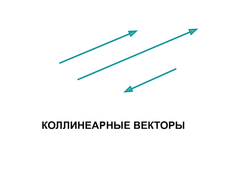 Коллинеарные векторы картинки