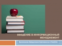 Введение в Информационный менеджемент