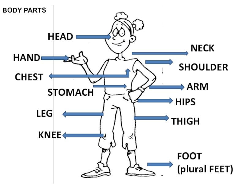 Body parts презентация