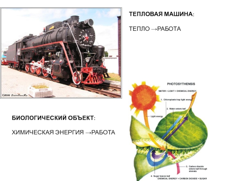 Выполняет ли тепловая машина положительную работу для цикла изображенного на рисунке