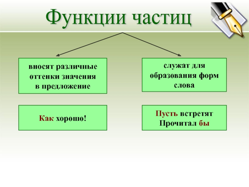 Значение 3 частиц. Функции частиц. Функция частицы в предложении. Частицы и их функции. Функции частиц в русском языке.