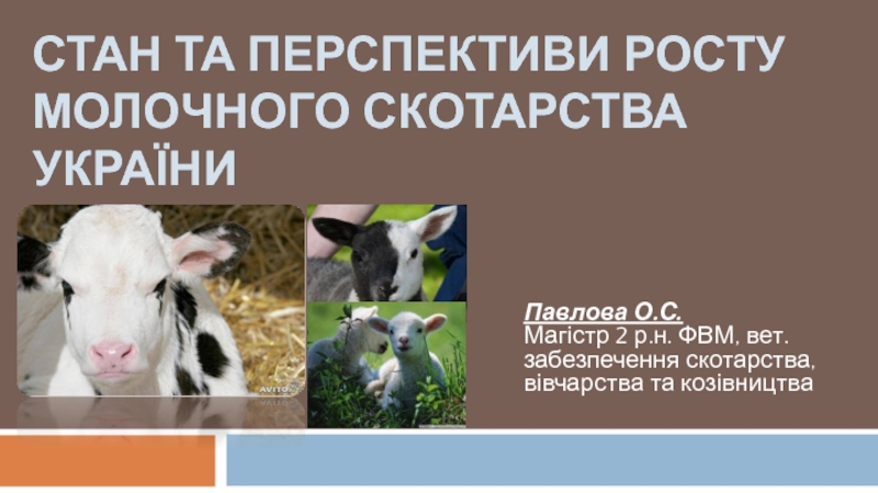 Стан та перспективи росту молочного скотарства України