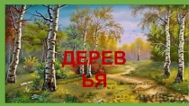 Наш лес,наши деревья