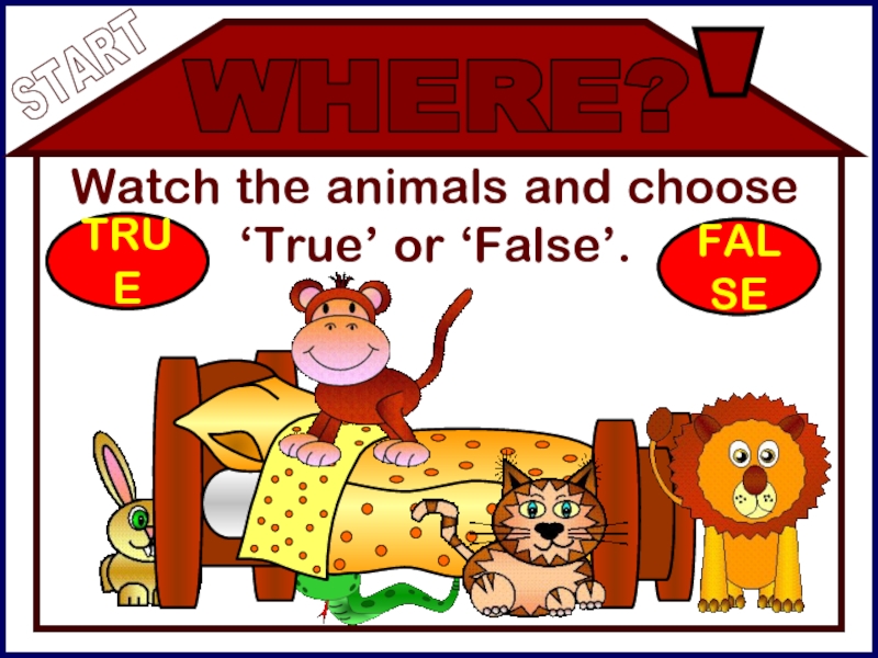 Watch the animals and choose ‘True’ or ‘False’.
WHERE?
TRUE
FALSE
START