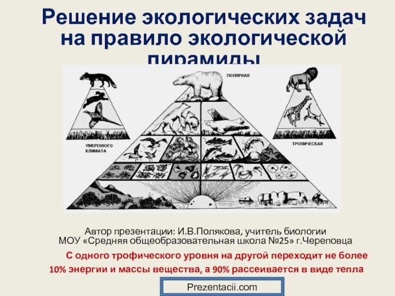 Презентация Решение экологических задач на правило экологической пирамиды
