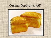 Откуда берется хлеб