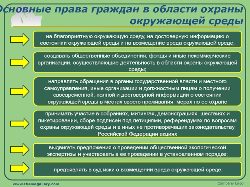 План экологическое право егэ по обществознанию