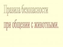 Правила безопасности при общении с животными