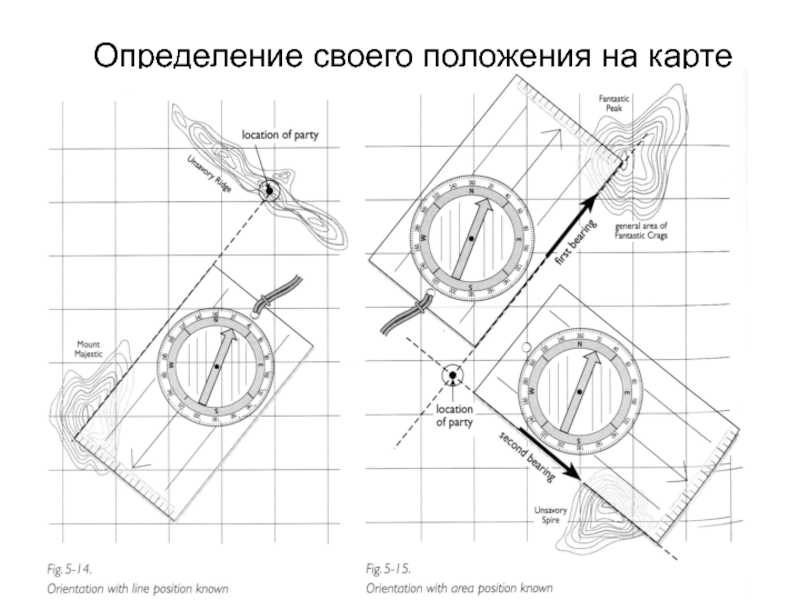 Проверка места положения. Карта измерений. Определение своего места положения на карте. Схема с описанием места положения дерева.