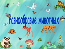 Разнообразие животных