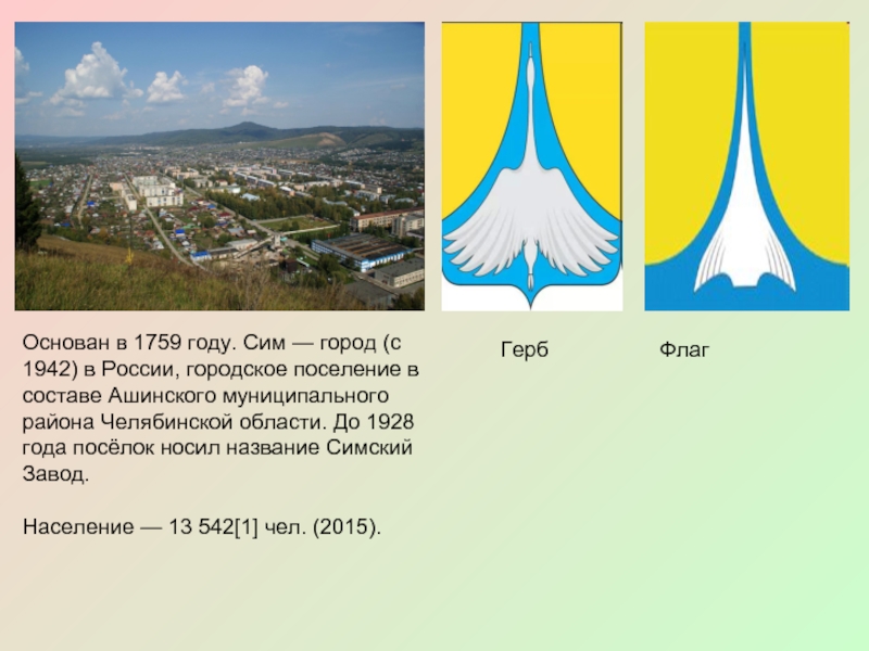 Проект город сим