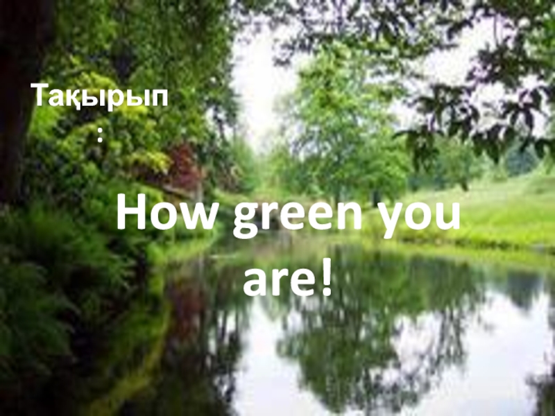 Презентация 6-class-How green you are!