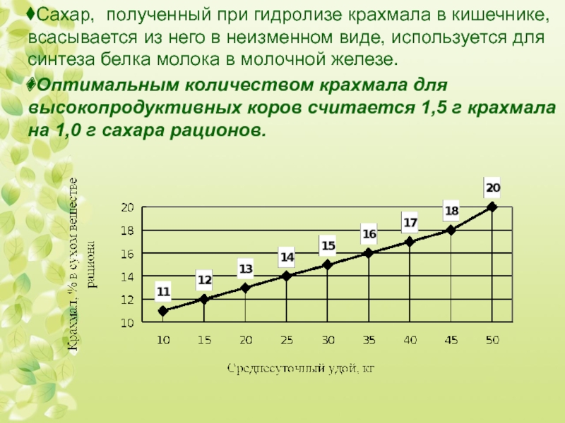 В неизменном виде. Клетчатка в кормлении коров.