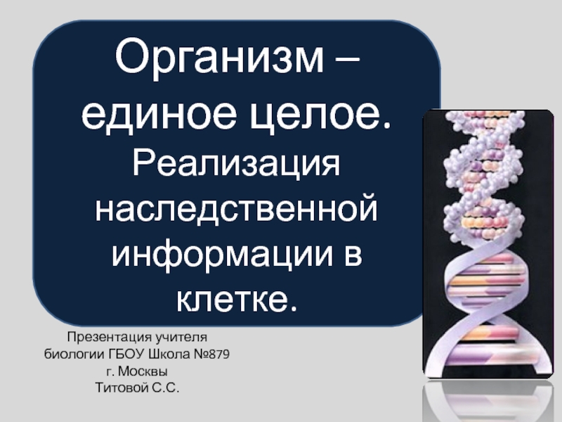 Презентация Организм – единое целое.  Реализация наследственной информации в клетке.