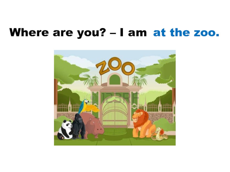 Where are you? – I am   at the zoo.