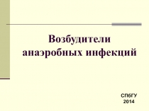 Возбудители анаэробных инфекций