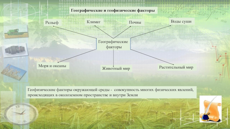 Хозяйственная специализация государств обусловленная природно географическими факторами презентация