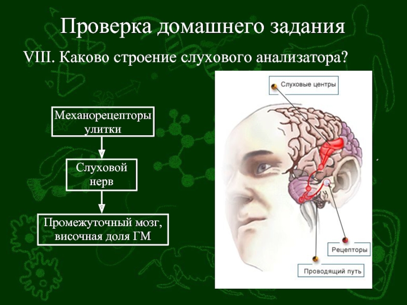 Схема взаимодействие анализаторов