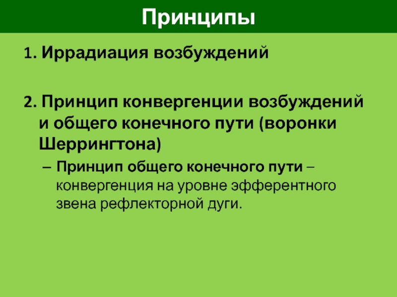 Принцип конечного пути. Принцип конвергенции. Основные принципы иррадиация. Принцип иррадиации возбуждения. Иррадиация возбуждения принципы основные принципы.