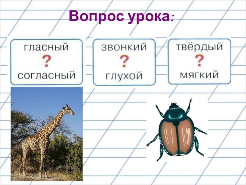 Буква ж презентация 1 класс школа россии 1 урок презентация