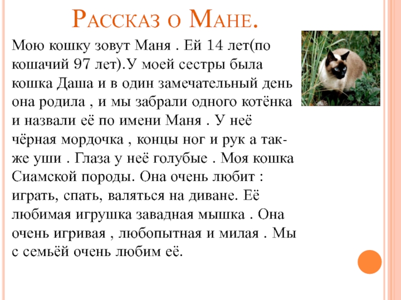 Манило имя. Мою кошку зовут. Моя мама кошки зовут. Рассказ Моне кошке. Сочинение про кошку Алису.