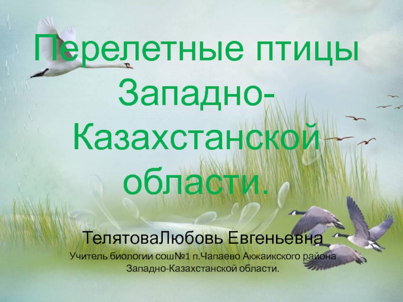 Перелетные птицы Западно-Казахстанской области.