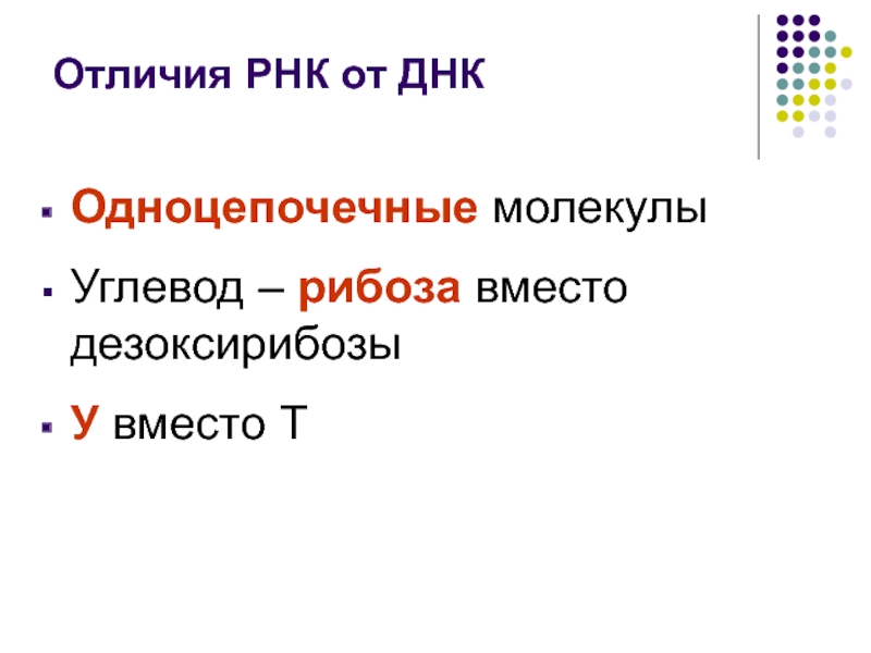 Отличия рнк