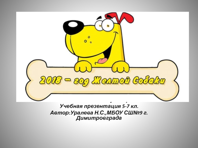 Презентация 2018 - год жёлтой собаки 5-7 класс