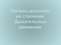 Органы дыхания, их строение. Дыхательные движения. 