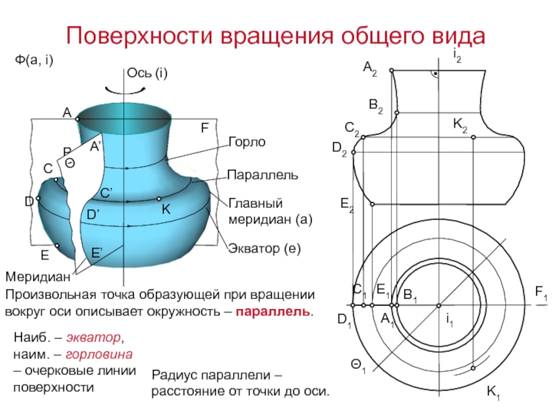 Образующая линия в рисунке