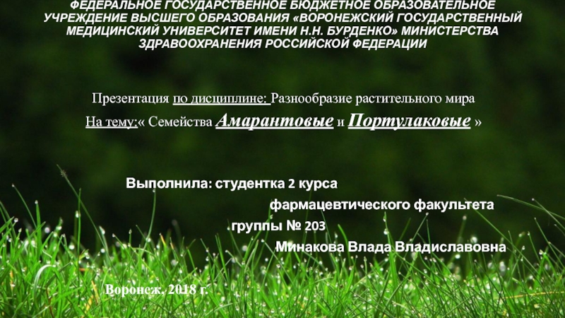 Презентация ФЕДЕРАЛЬНОЕ ГОСУДАРСТВЕННОЕ БЮДЖЕТНОЕ ОБРАЗОВАТЕЛЬНОЕ УЧРЕЖДЕНИЕ ВЫСШЕГО