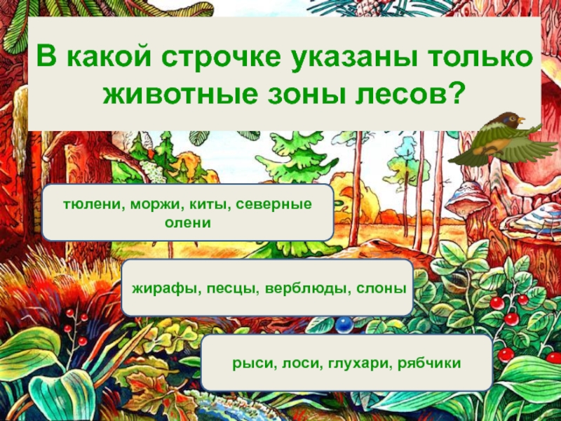 В какой строке указаны. Зеленые страницы о животном лесных зон. Зеленые страницы интересные факты о животных лесных зон. Книга зелёные страницы 4 класс Лесные зоны интересные факты. Зеленые страницы растение животное лесных зон.