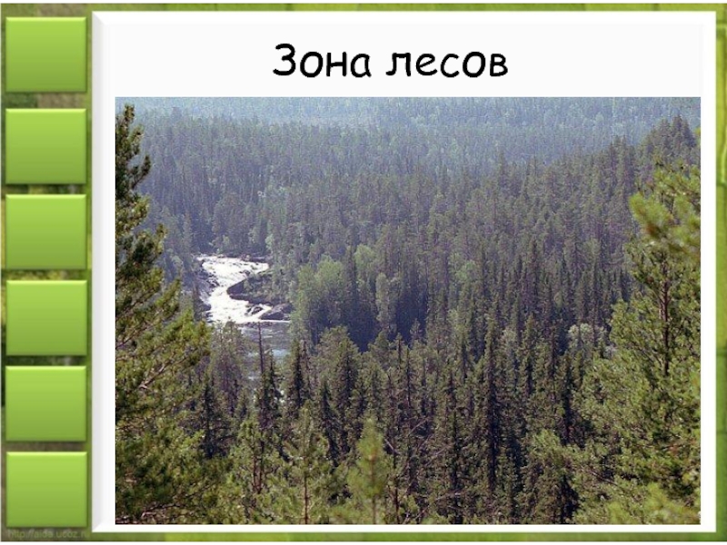 Лесные зоны воды. Зона лесов. Природная зона лесов. Лесные зоны России. Зона лесов России 4 класс окружающий мир.