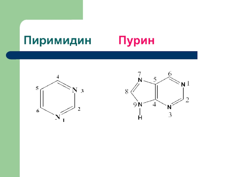 Пиримидин формула