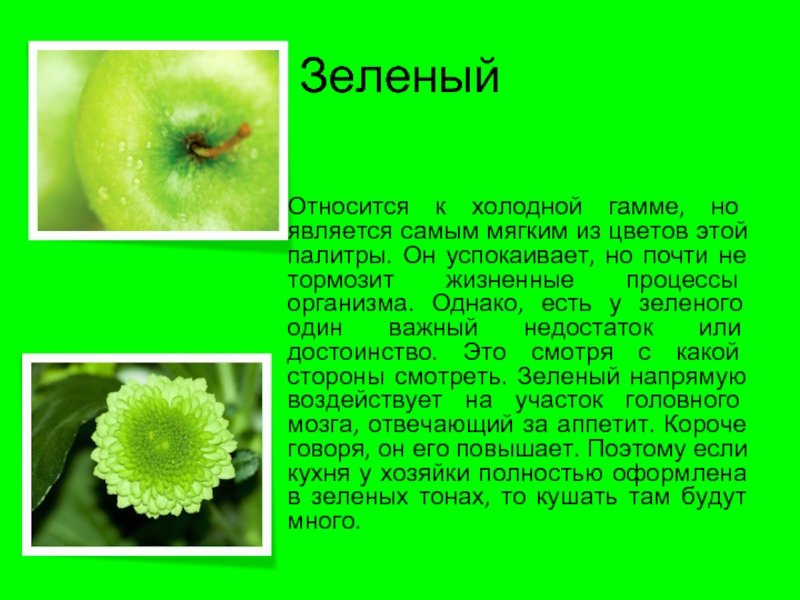 Зеленый цвет как влияет. Зелёный цвет влияние на организм. Зеленая окраска растений связана. Влияние зеленого цвета. Слова зеленого цвета.