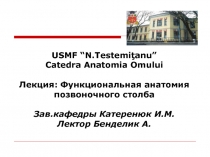 USMF “N.Testemiţanu” Catedra Anatomia Omului Лекция : Функциональная анатомия