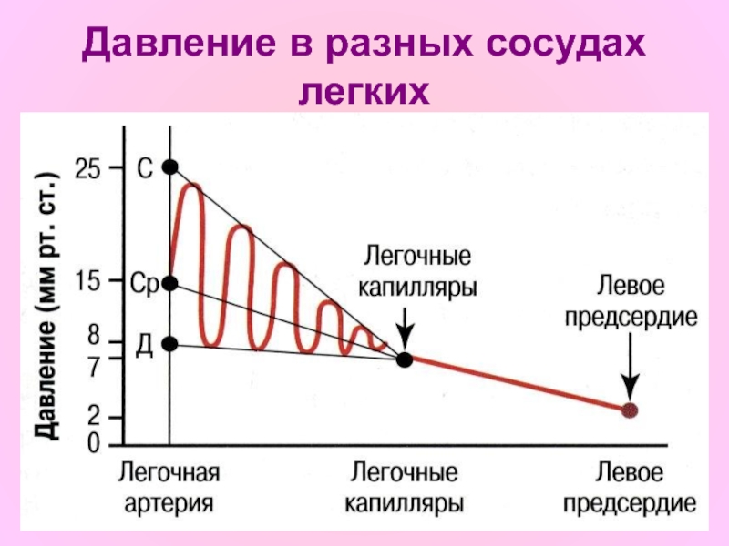 Давление в различных сосудах. Таблица давления в разных сосудах. Давление в разных артериях. Ад в разных сосудах.