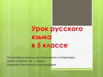 Многозначные слова и омонимы 5 класс