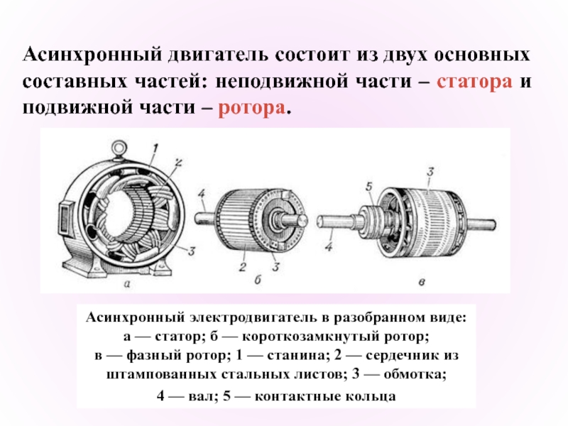 Схема асинхронной машины с короткозамкнутым ротором