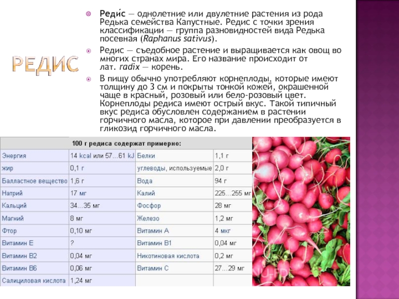 Тюльпаны однолетние или многолетние