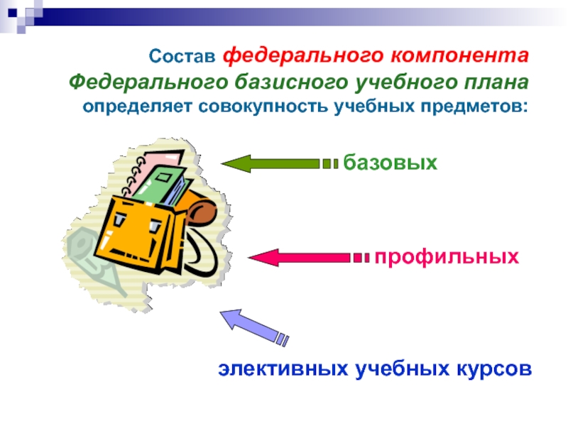 Набор элективных курсов на основе базисного учебного плана определяется