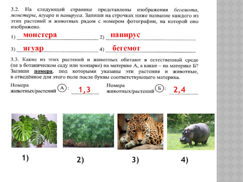 Подготовка к впр окружающий мир 4 класс презентация