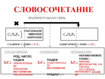 Презентация по теме 