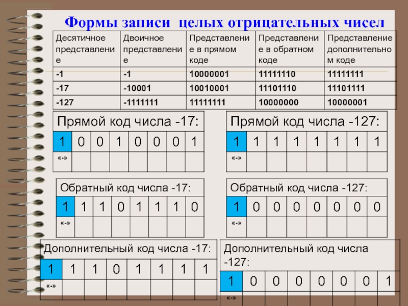 Представление чисел в компьютере презентация 8 класс