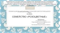 Презентация по дисциплине : разнообразие растительного мира на тему: Семейство