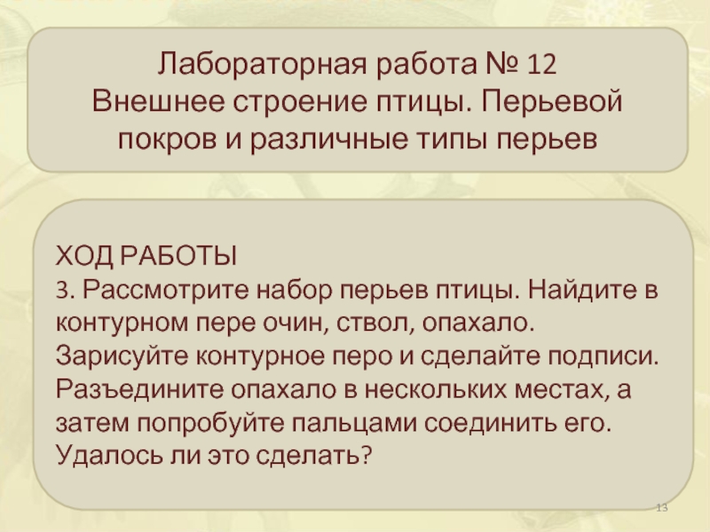 Рассмотрите перьевой покров однороден ли он равномерно. Лабораторная работа внешнее строение птиц. Лабораторная работа внешнее строение птицы. Строение перьев. Внешнее строение и перьевой Покров птиц лабораторная работа. Особенности строения перьевого Покрова птиц.